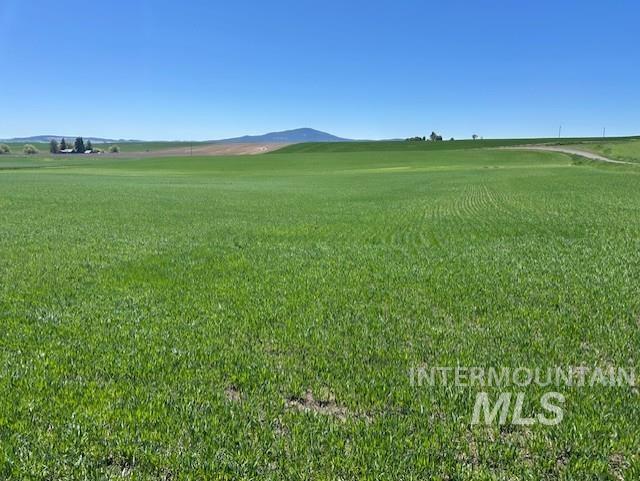 Tbd Klein Road Craigmont, ID 83523 - Photo 4 of 16
