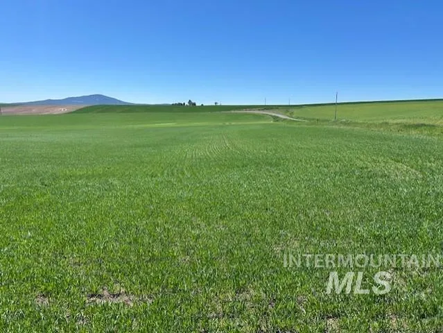 $150,000 | Tbd Klein Road, Craigmont, ID 83523