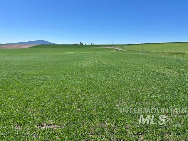 Tbd Klein Road Craigmont, ID 83523 - Photo 5 of 16