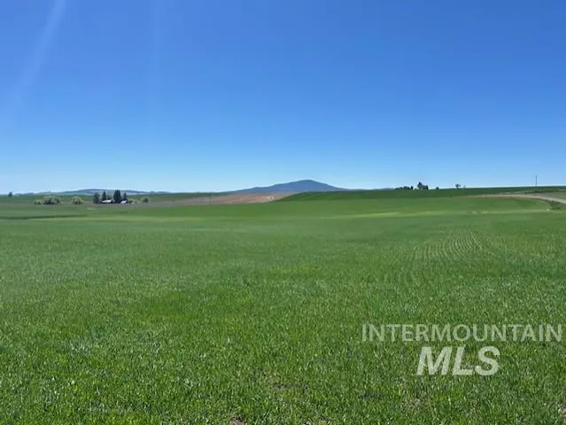 $150,000 | Tbd Klein Road, Craigmont, ID 83523