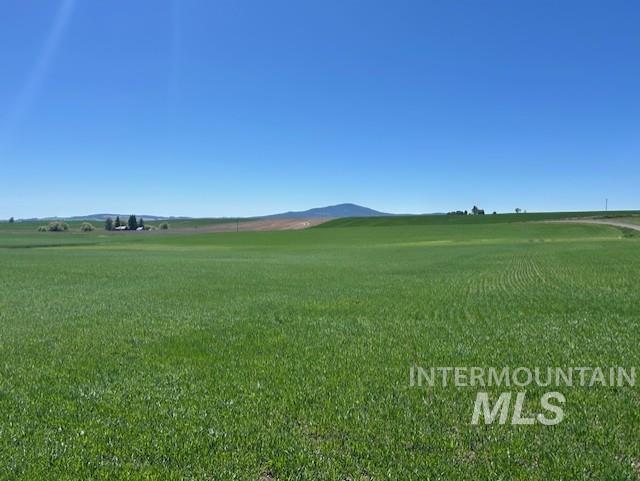 Tbd Klein Road Craigmont, ID 83523 - Photo 6 of 16