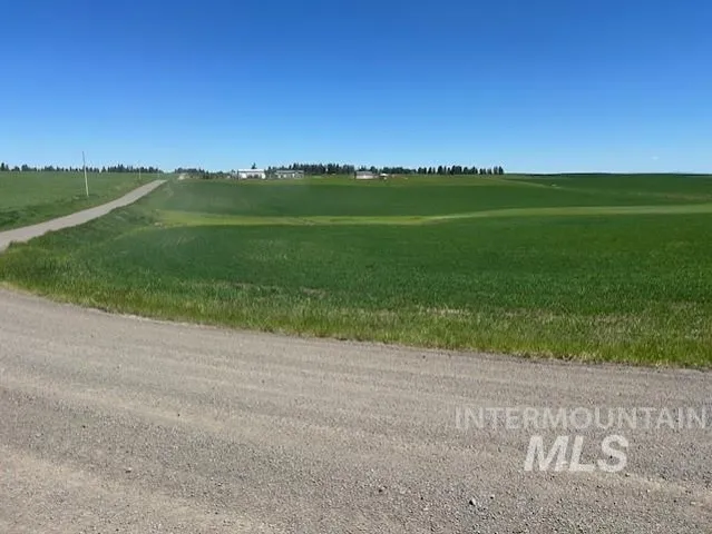 $150,000 | Tbd Klein Road, Craigmont, ID 83523