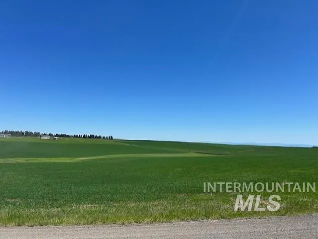 $150,000 | Tbd Klein Road, Craigmont, ID 83523