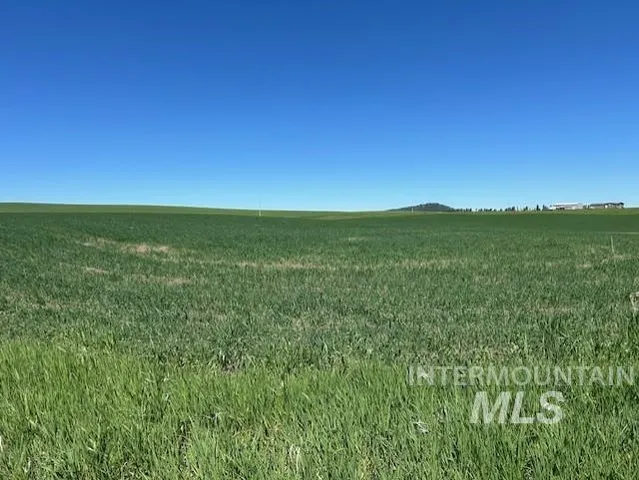 $150,000 | Tbd Klein Road, Craigmont, ID 83523