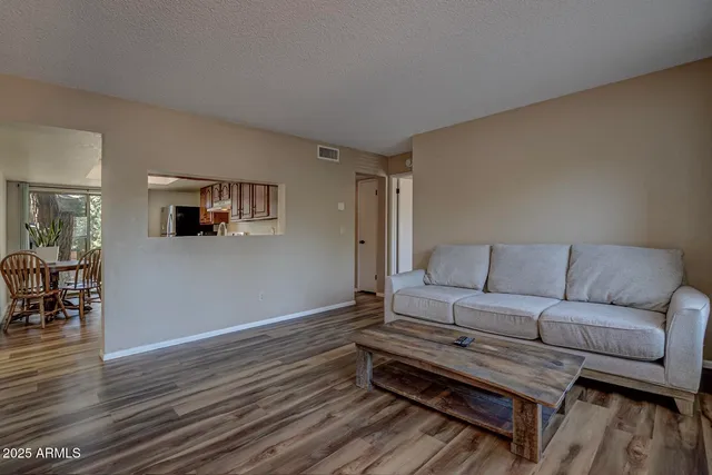 a living room with furniture a wooden floor and a sink