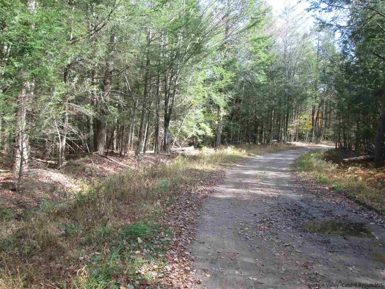 Tbd Diamond Road Grahamsville, NY 12740 - Photo 1 of 4 Photo 1