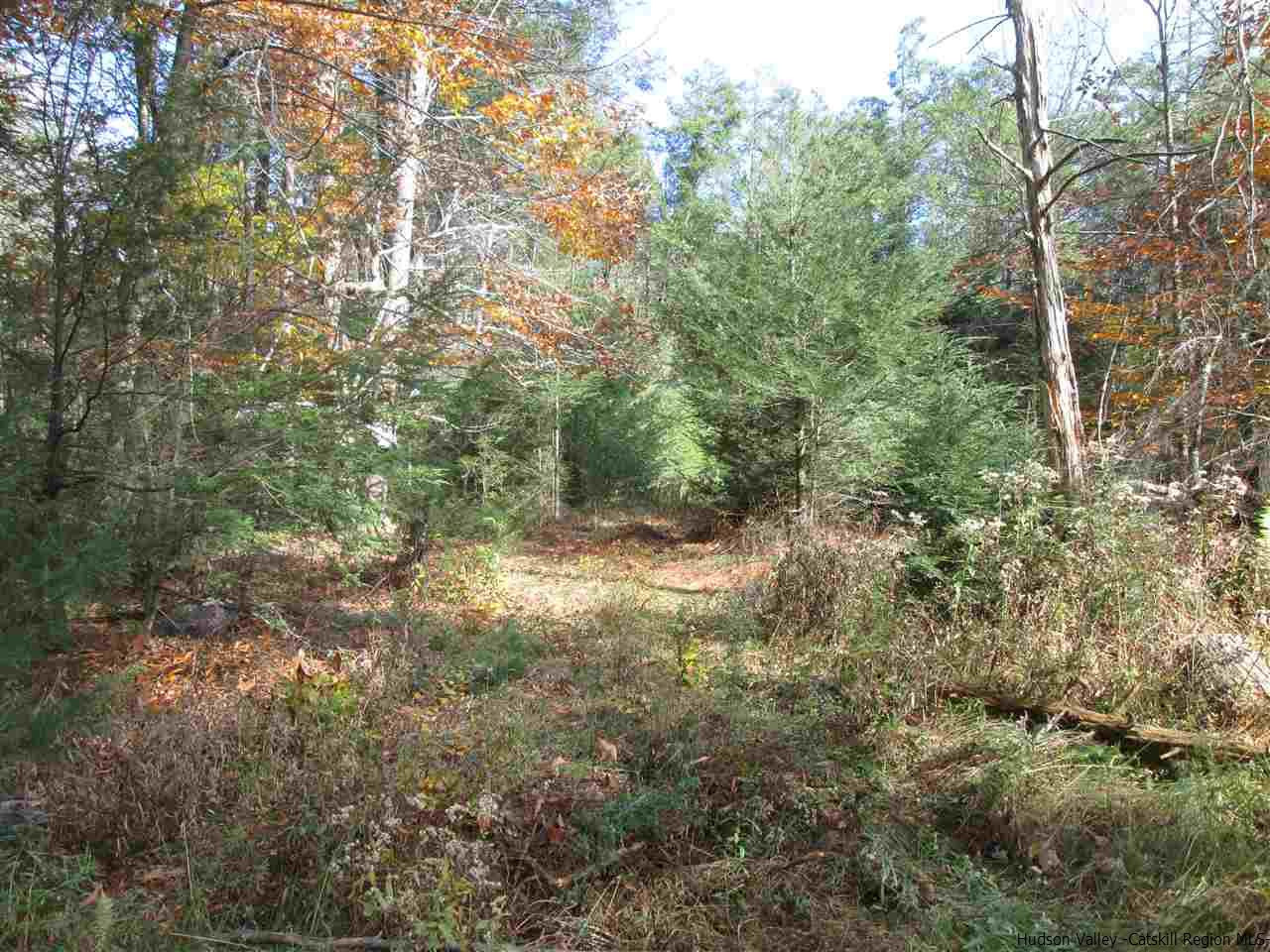 Tbd Diamond Road Grahamsville, NY 12740 - Photo 2 of 4 Photo 2