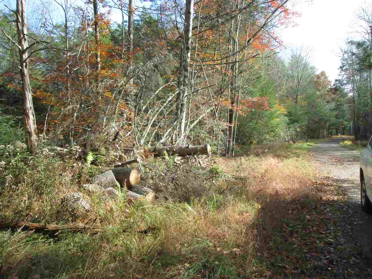 Tbd Diamond Road Grahamsville, NY 12740 - Photo 3 of 4 Photo 3