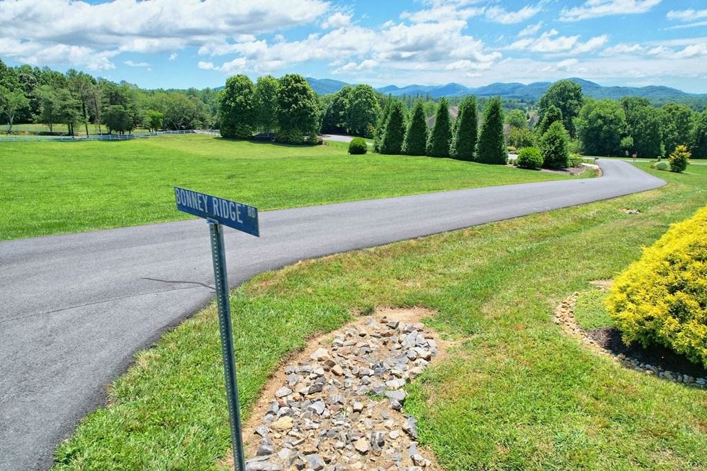 Lot 20 Bonney Ridge Road Blairsville, GA 30512 - Photo 11 of 20 Gallery Image 11