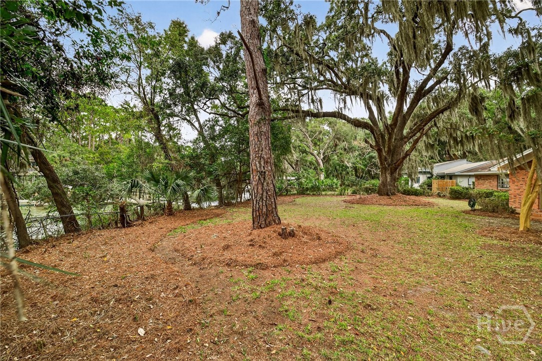 334 Island Road Savannah, GA 31406 - Photo 37 of 65