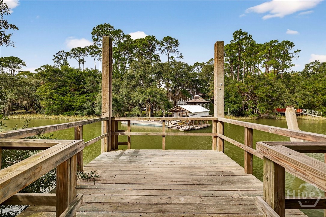 334 Island Road Savannah, GA 31406 - Photo 41 of 65