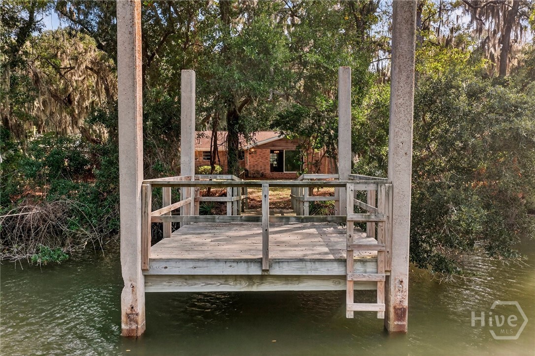 334 Island Road Savannah, GA 31406 - Photo 43 of 65