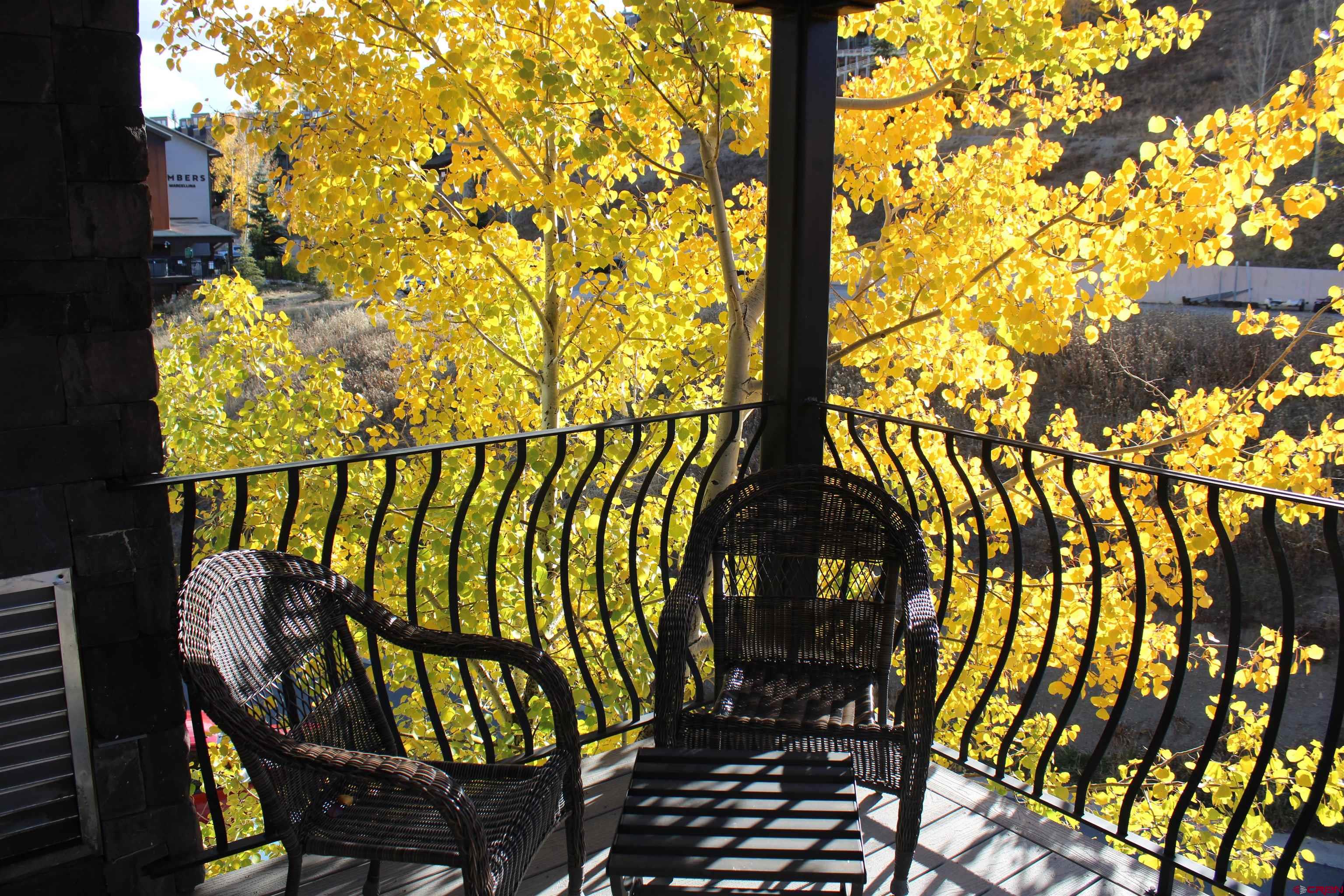 651 Gothic Road, Unit 412 Crested Butte, CO 81225 - Photo 39 of 41 Gallery Image 39