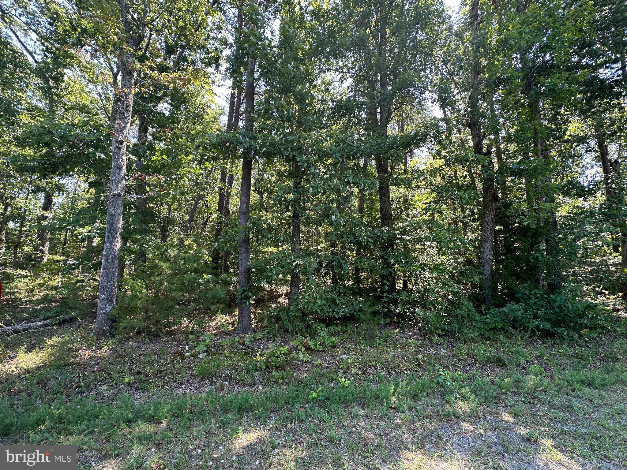 0 Wickham Road Bumpass, VA 23024 - Photo 2 of 4 Gallery Image 2