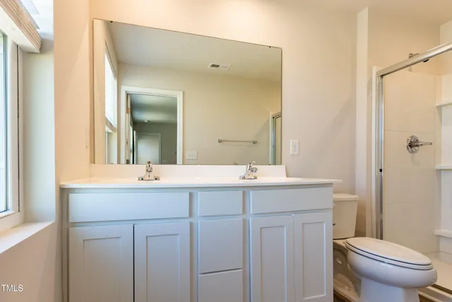 a bathroom with a sink a toilet a mirror a vanity and shower