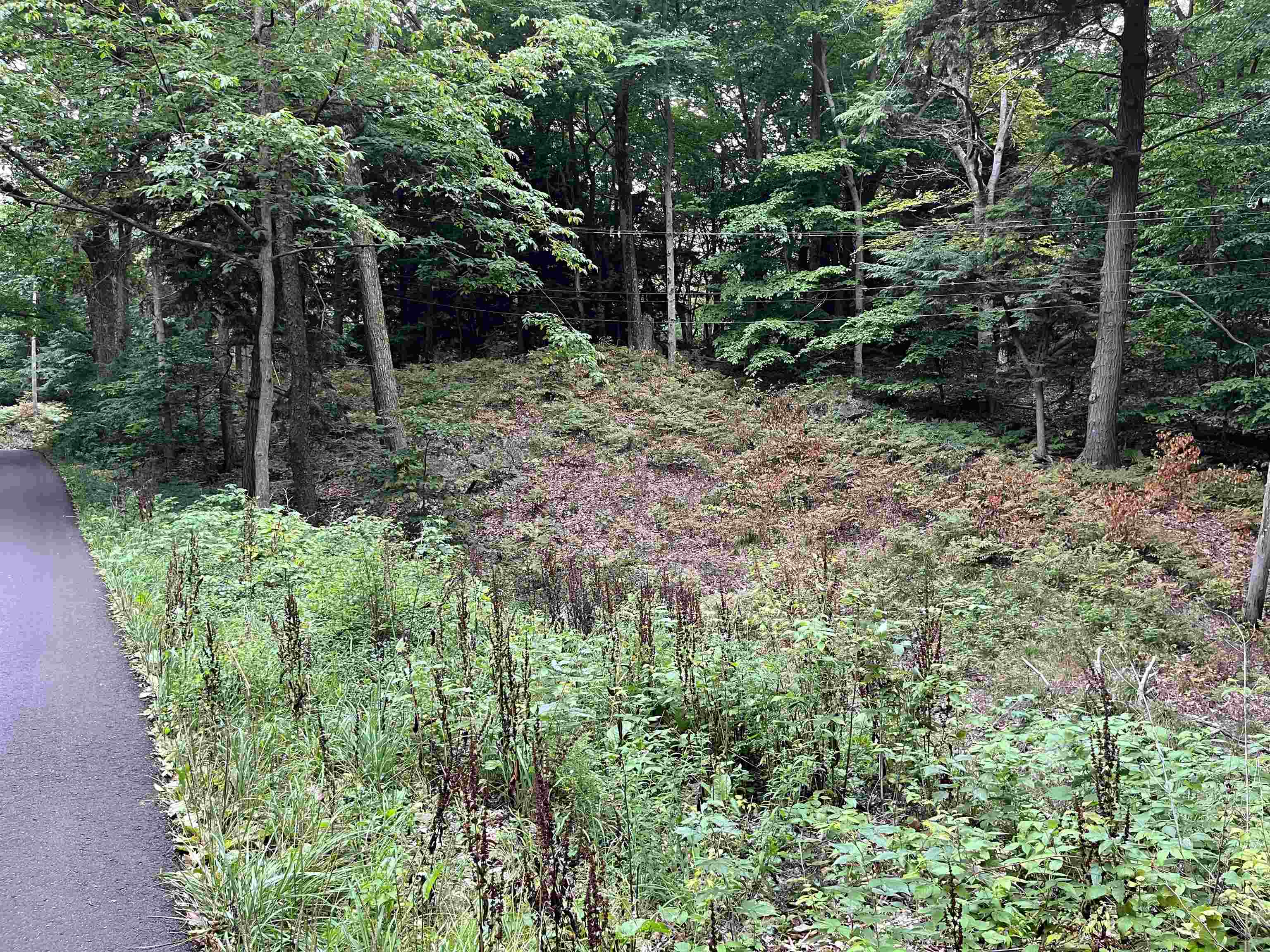 7 Beach Road Frankfort, MI 49635 - Photo 14 of 15