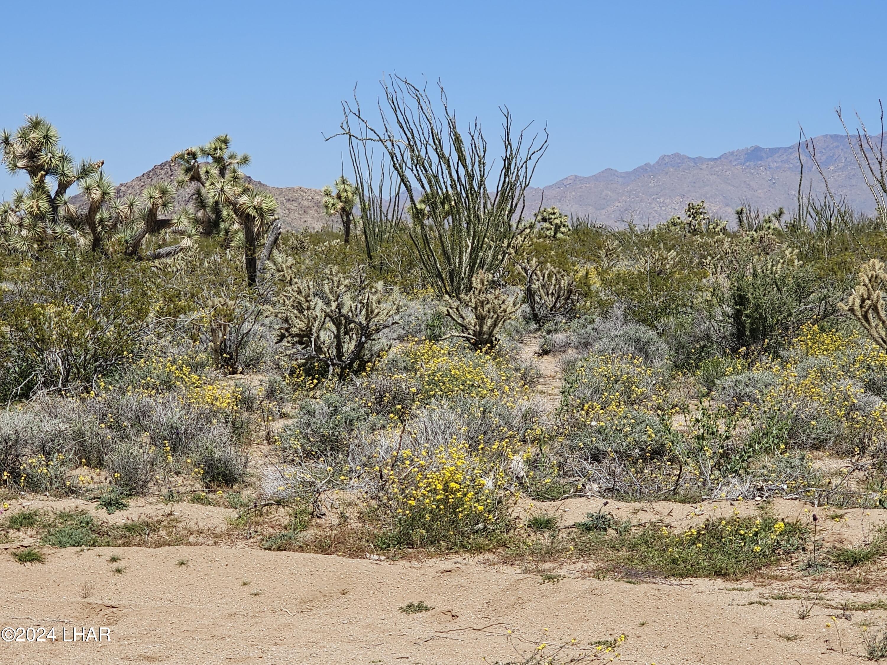 3252 South Dale Evans Road Yucca, AZ 86438 - Photo 12 of 19 Amazing Scenery