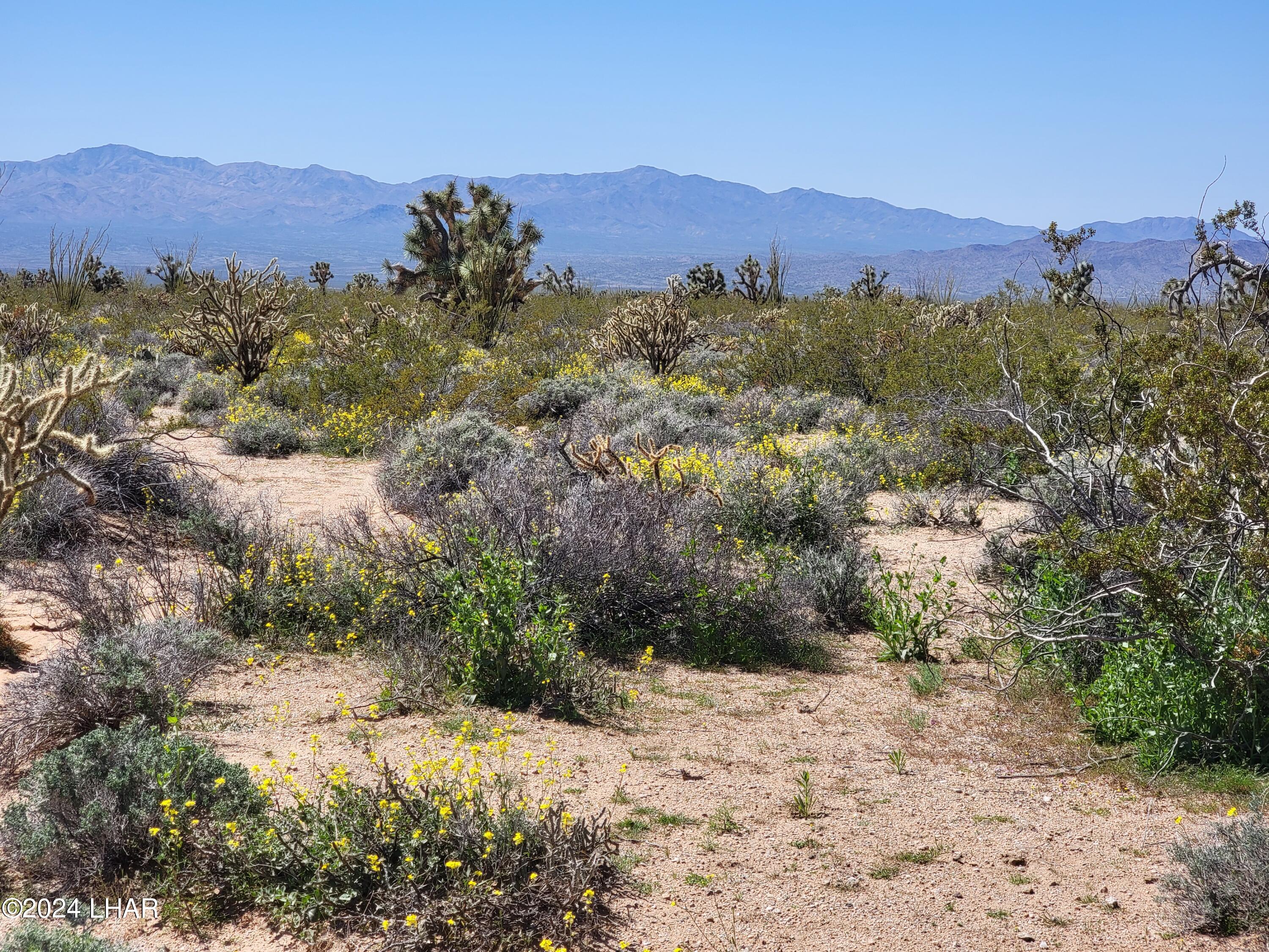 3252 South Dale Evans Road Yucca, AZ 86438 - Photo 13 of 19 Mountain Views