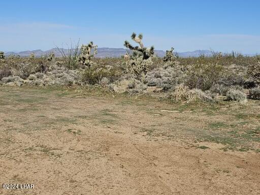 3252 South Dale Evans Road Yucca, AZ 86438 - Photo 18 of 19 More beauty
