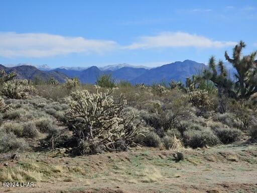 3252 South Dale Evans Road Yucca, AZ 86438 - Photo 19 of 19 Serenity