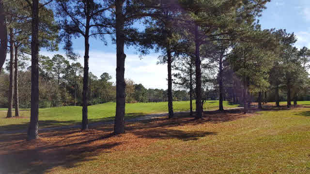 100 Craigend Loop Gulf Shores, AL 36542 - Photo 34 of 39