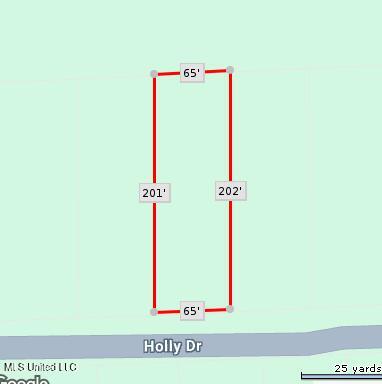 Holly Drive Lucedale, MS 39452 - Photo 2 of 3 Screenshot 2025-11-10 164606