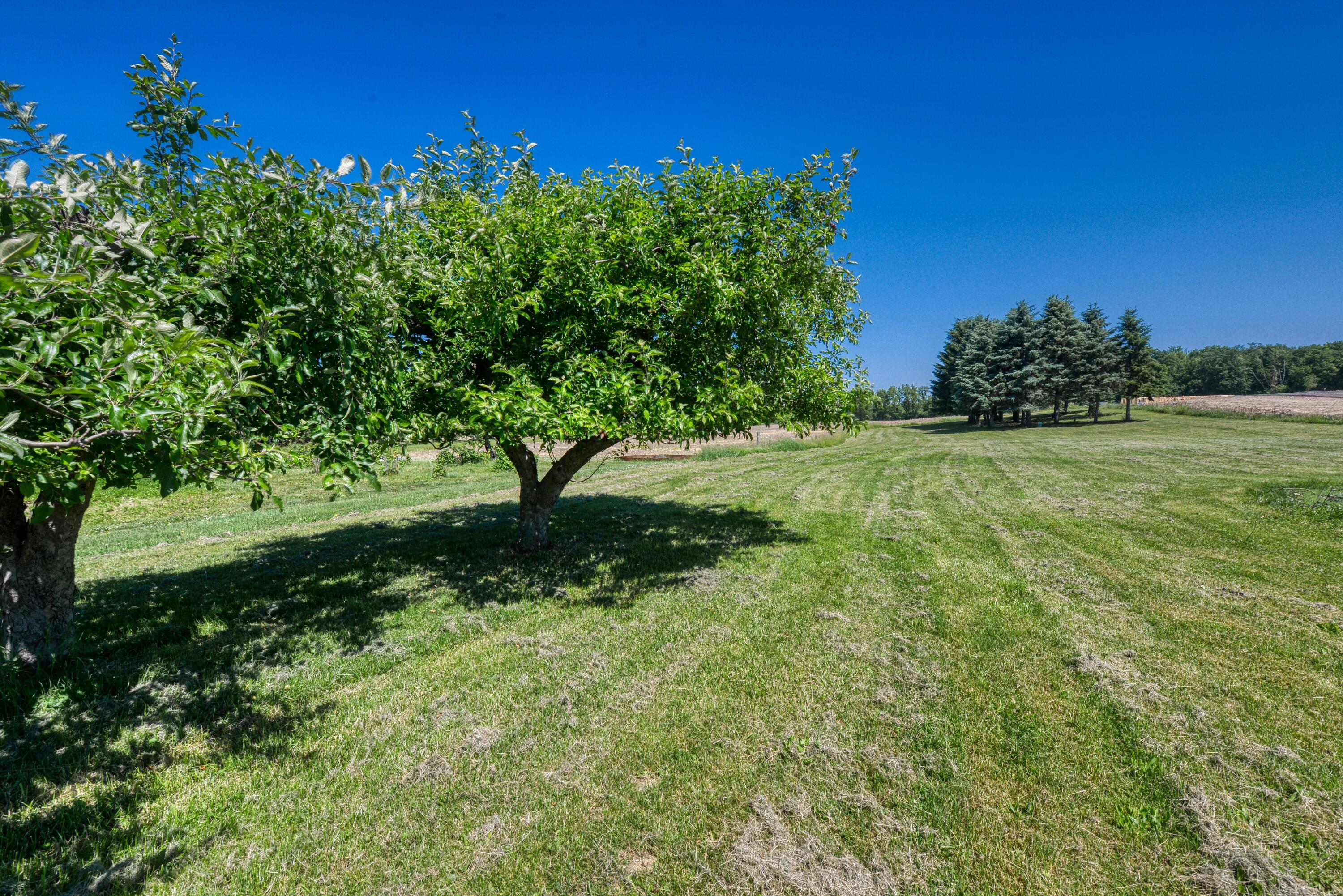 761 Warren Woods Road Galien, MI 49113 - Photo 33 of 36 DSC_6905