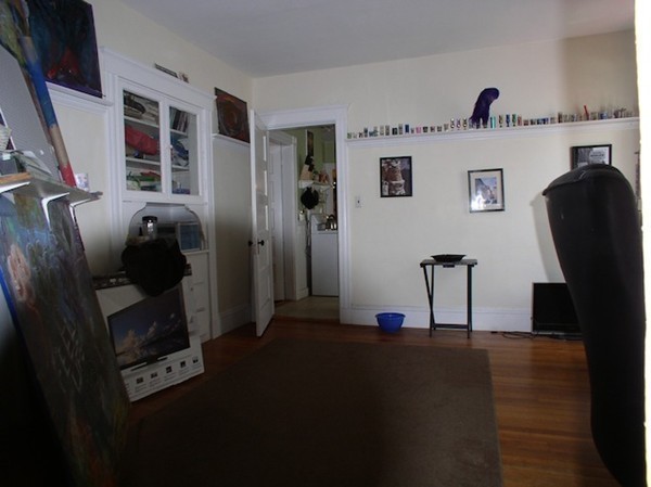 19 Edward Sullivan Road Cambridge, MA 02138 - Photo 3 of 8 Gallery Image 3