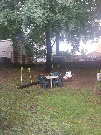 19 Edward Sullivan Road Cambridge, MA 02138 - Photo 7 of 8 Gallery Image 7