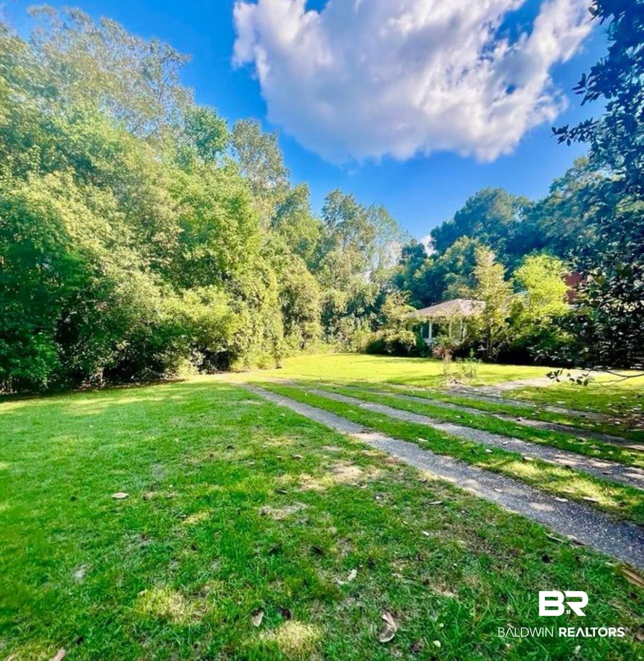 108 Chaney Street Evergreen, AL 36401 - Photo 4 of 29 Gallery Image 4