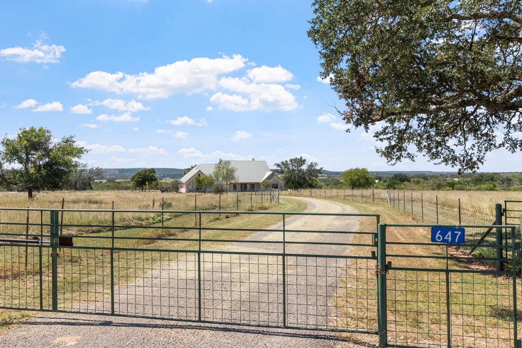 647 Funf Kinder Road Fredericksburg, TX 78624 - Photo 4 of 100