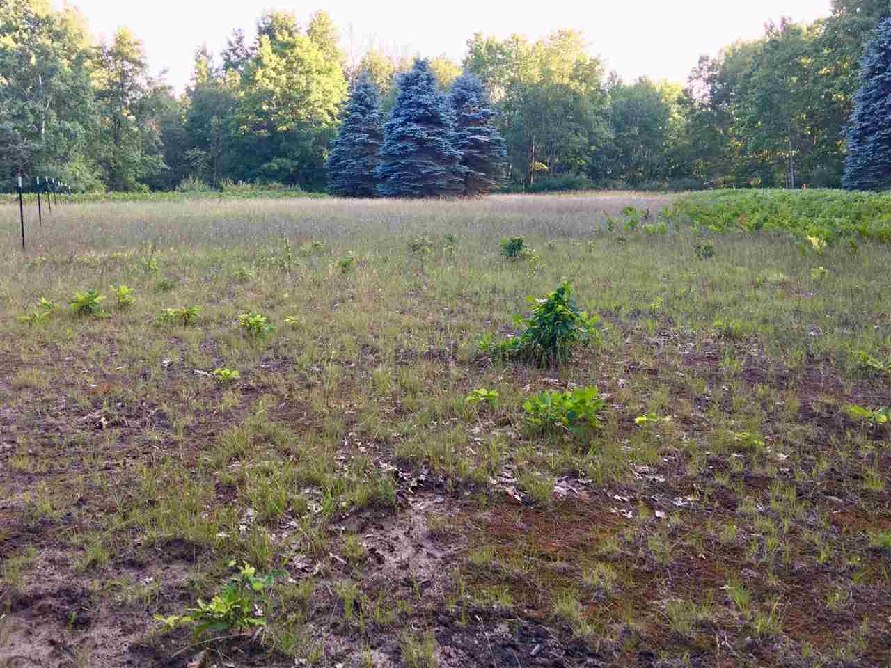 20 East Conrad Road Scottville, MI 49454 - Photo 9 of 18