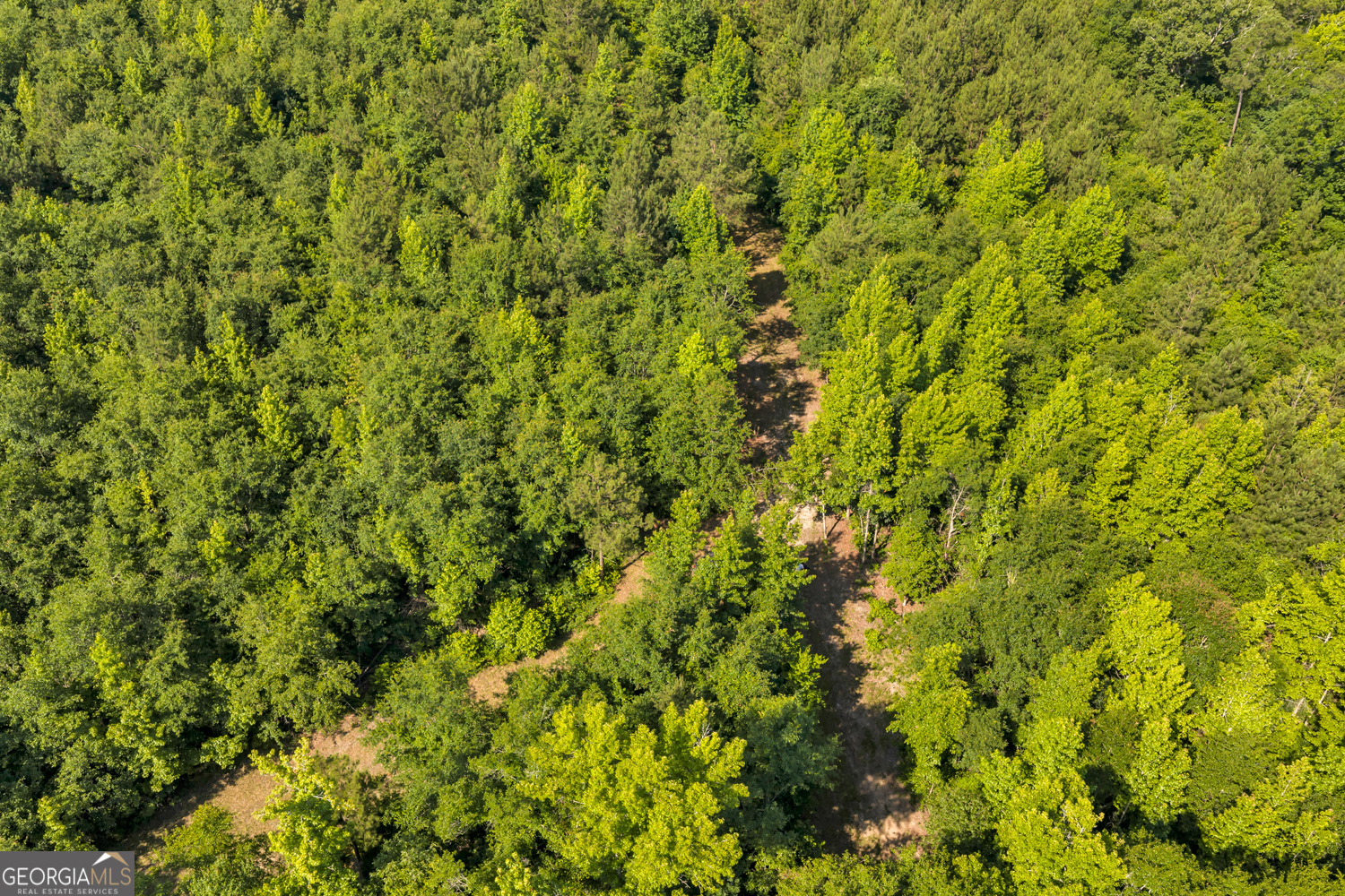651 Branan Road Toomsboro, GA 31090 - Photo 48 of 53