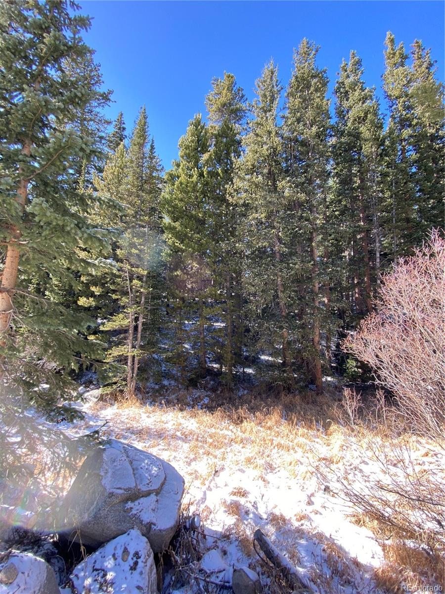 0 Lake Road Idaho Springs, CO 80452 - Photo 3 of 7 Gallery Image 3