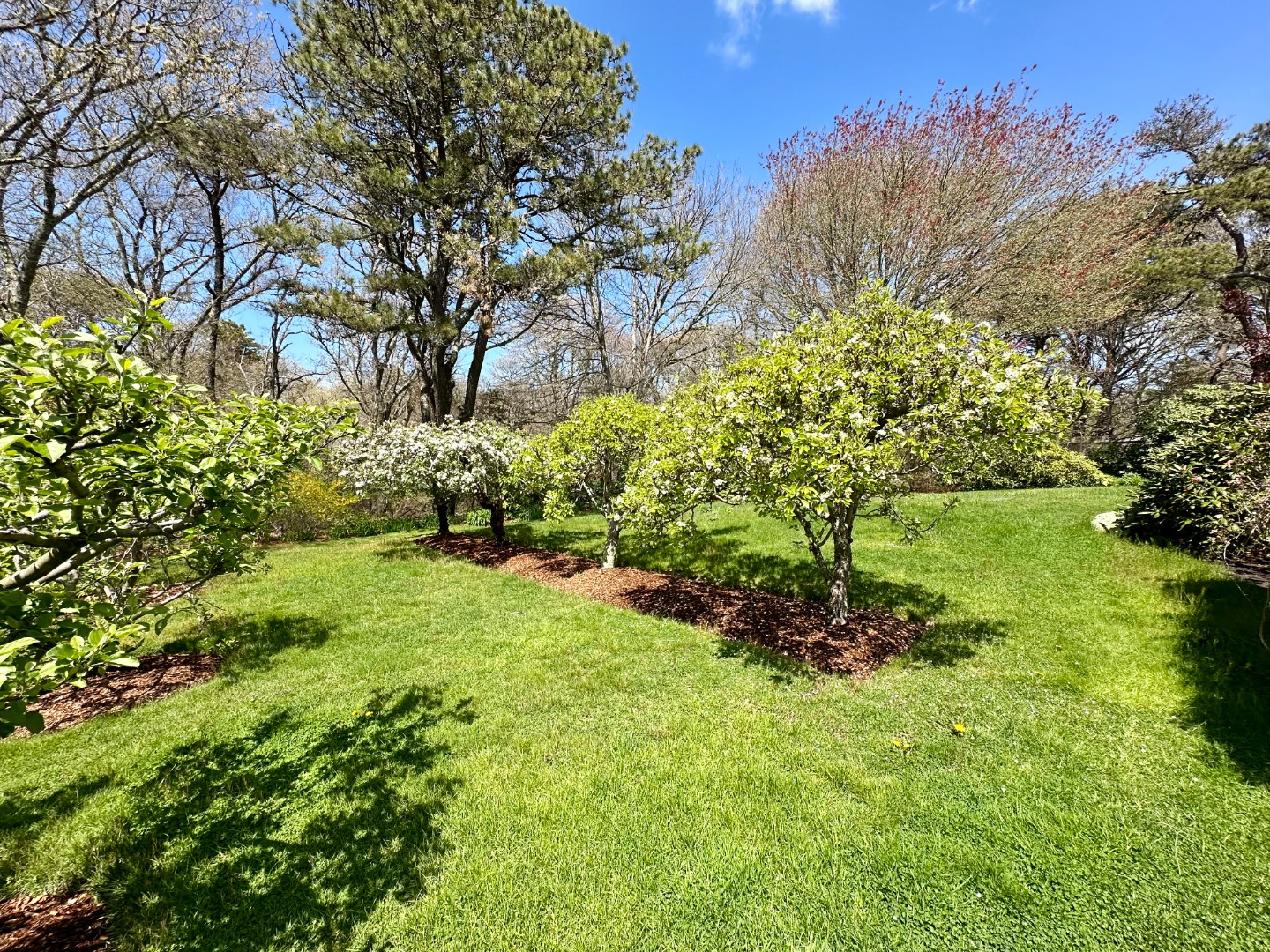 26 Bijah's Way Chilmark, MA 02535 - Photo 19 of 25