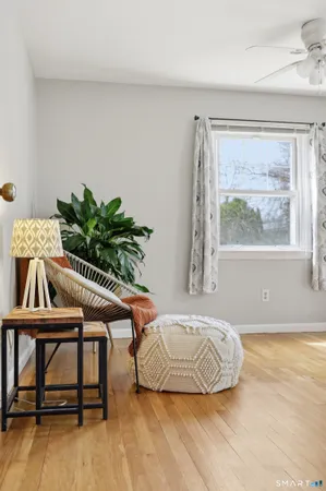 a room with furniture and a potted plant