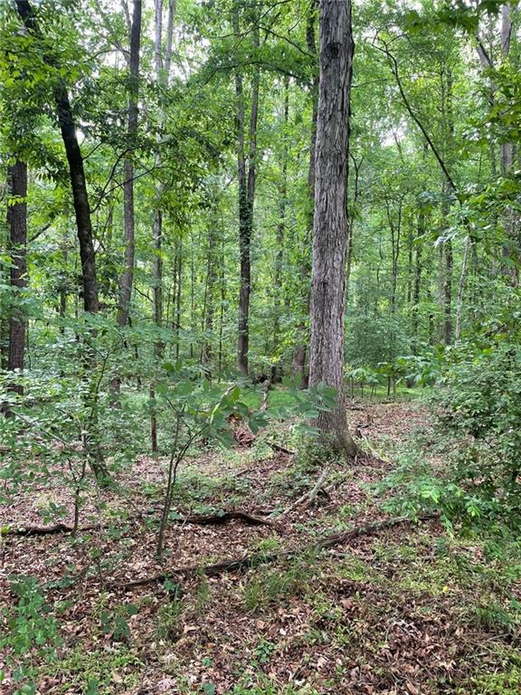906 Jefferson River Road Jefferson, GA 30549 - Photo 22 of 25 a view of a forest with trees