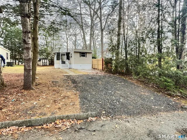 a view of a yard with plants and trees