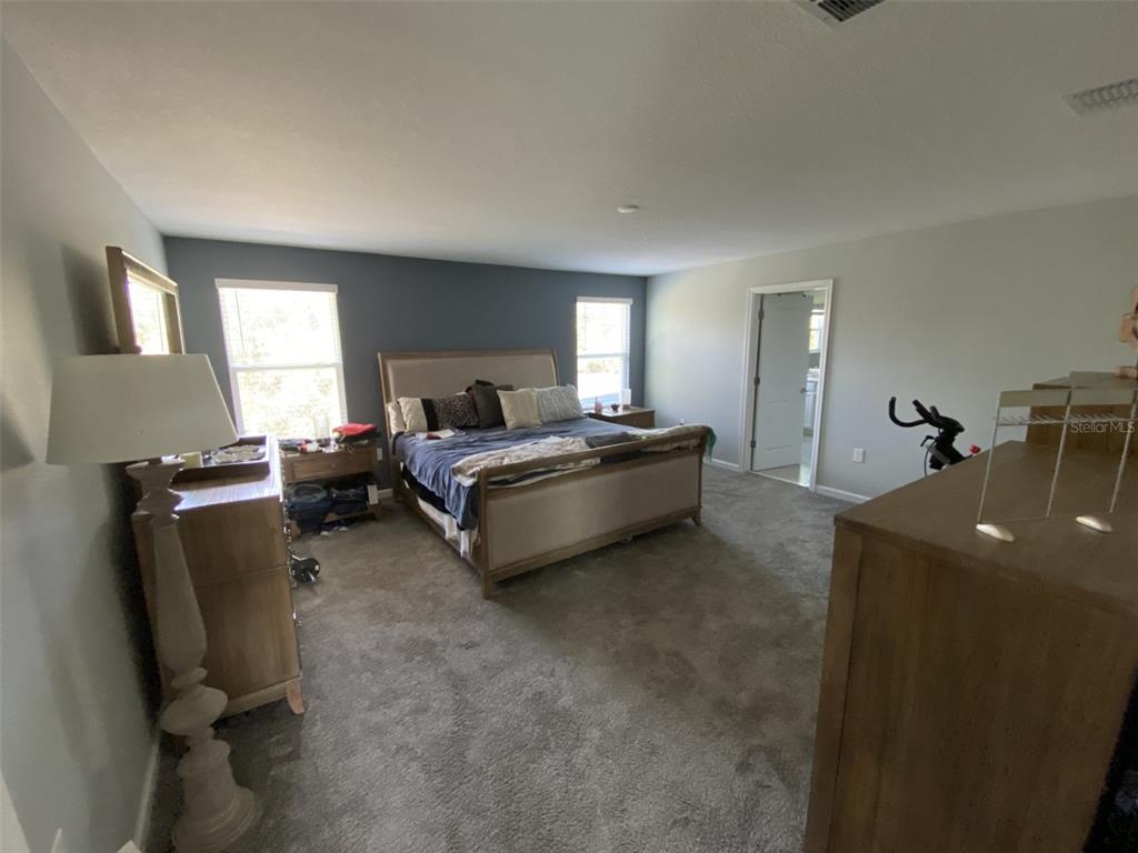 5686 Alenlon Way Mount Dora, FL 32757 - Photo 28 of 62 a living room with furniture
