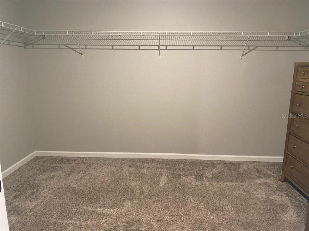 5686 Alenlon Way Mount Dora, FL 32757 - Photo 29 of 62 a view of a room with racks on the wall