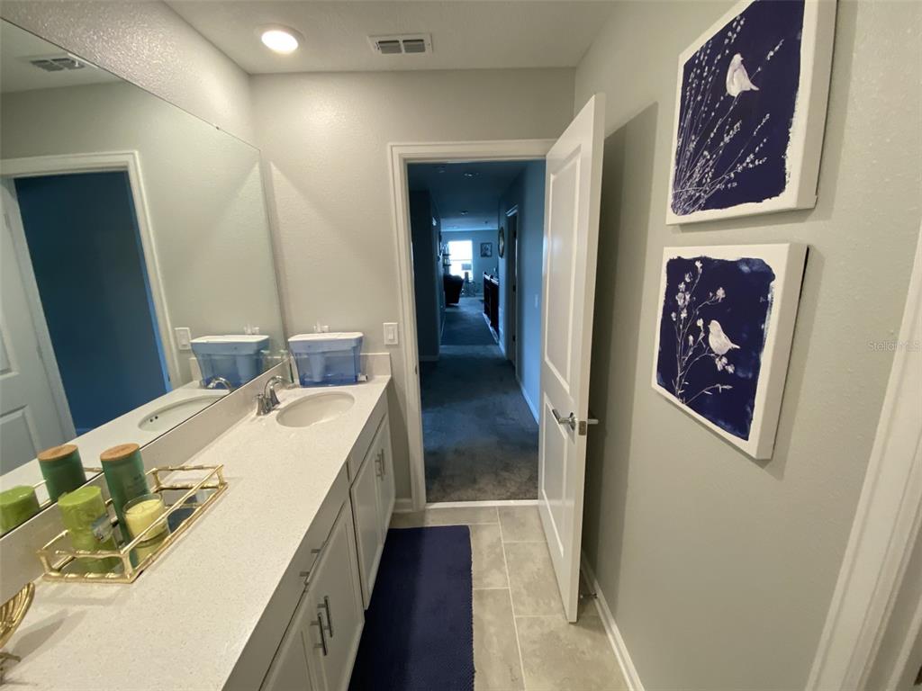 5686 Alenlon Way Mount Dora, FL 32757 - Photo 39 of 62 a en suite bathroom with a double vanity sink and a mirror