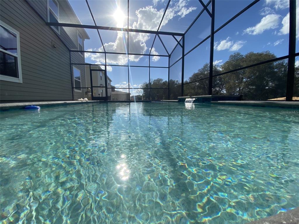 5686 Alenlon Way Mount Dora, FL 32757 - Photo 44 of 62 a view of a backyard