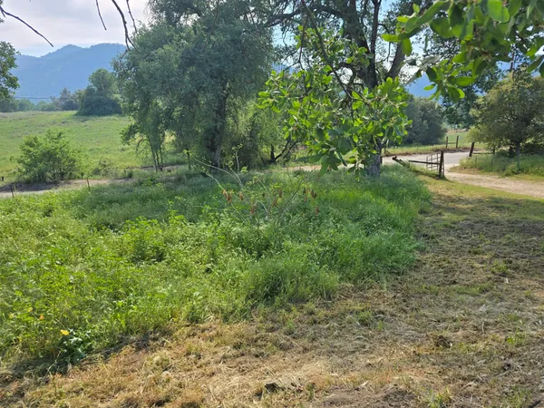 a view of outdoor space with green field and trees