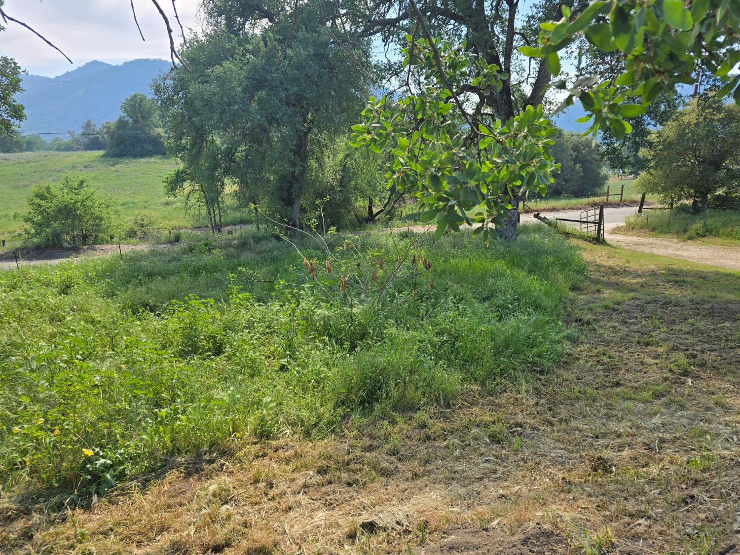 40210 Millwood Road Dunlap, CA 93621 - Photo 3 of 15