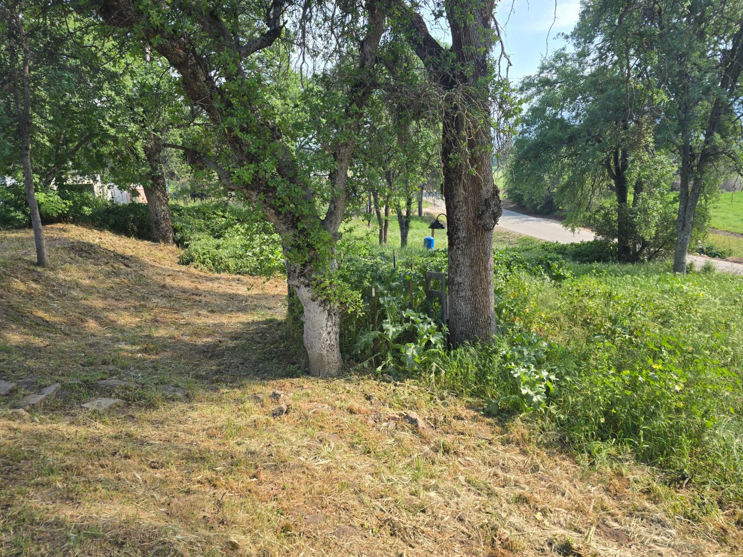 40210 Millwood Road Dunlap, CA 93621 - Photo 9 of 15