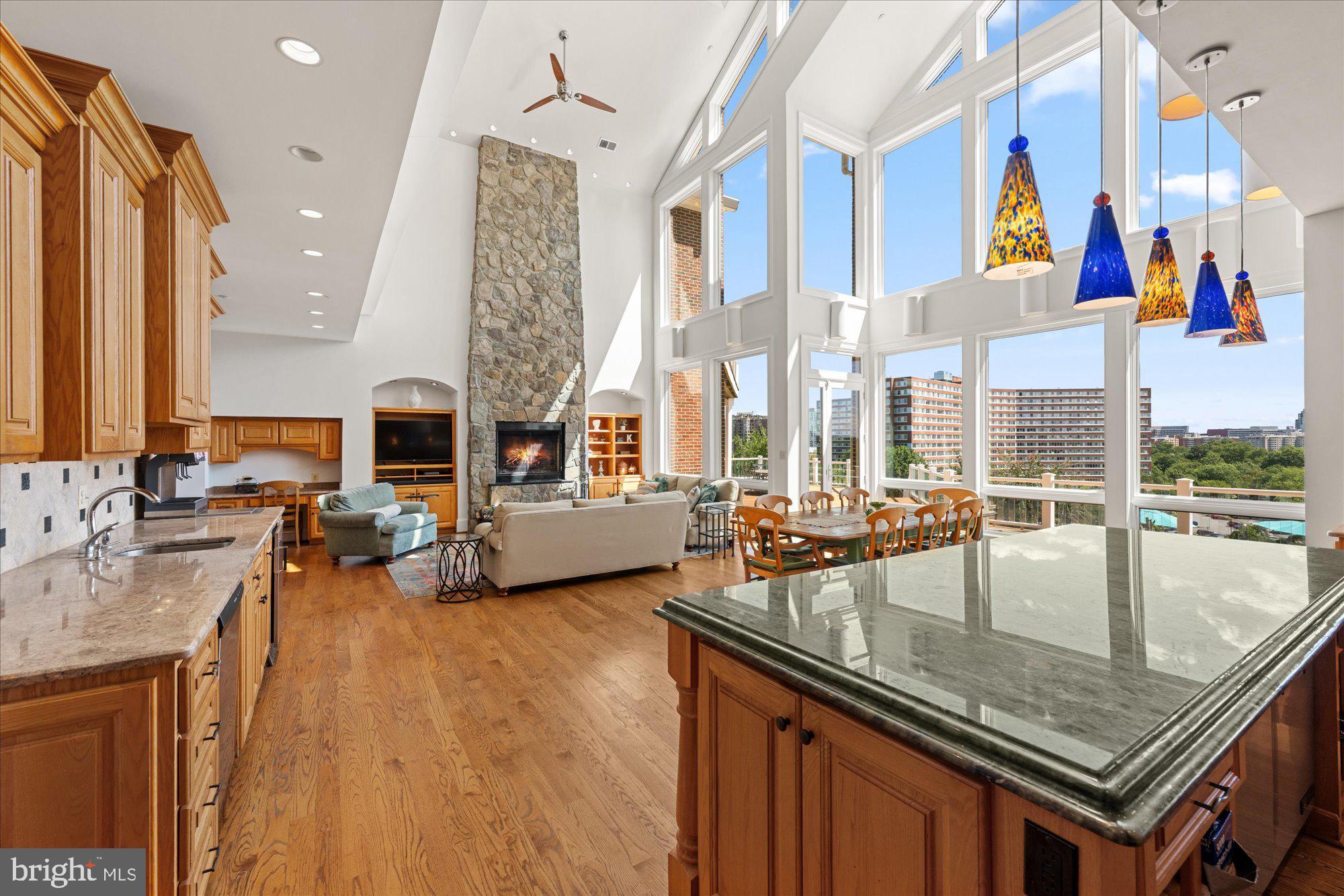 1701 South Arlington Ridge Road Arlington, VA 22202 - Photo 22 of 90 a kitchen with stainless steel appliances granite countertop a barbecue grill and a view of living room