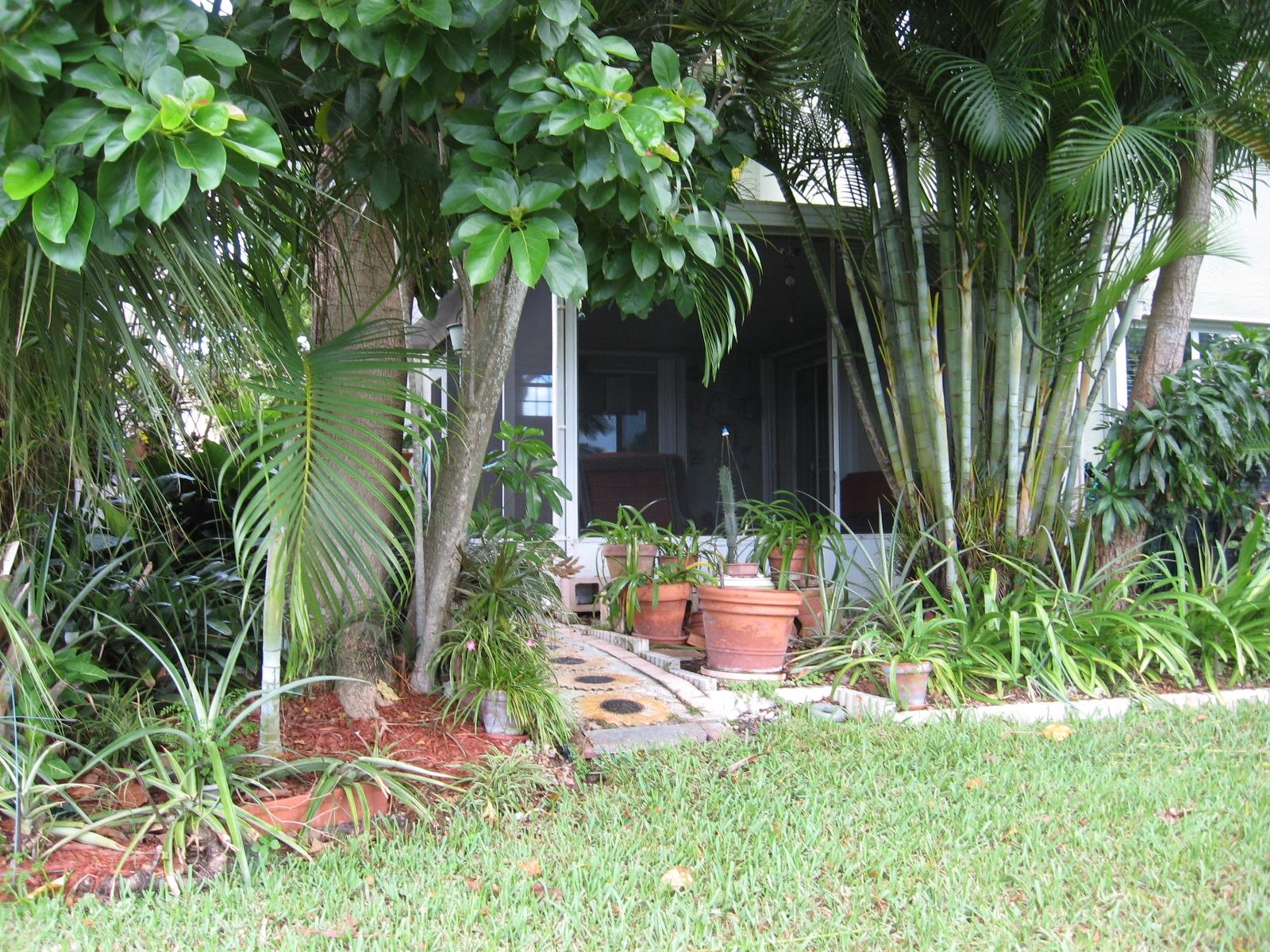 23312 Tranquil Lane Boca Raton, FL 33428 - Photo 28 of 55 23312 - Backyard3