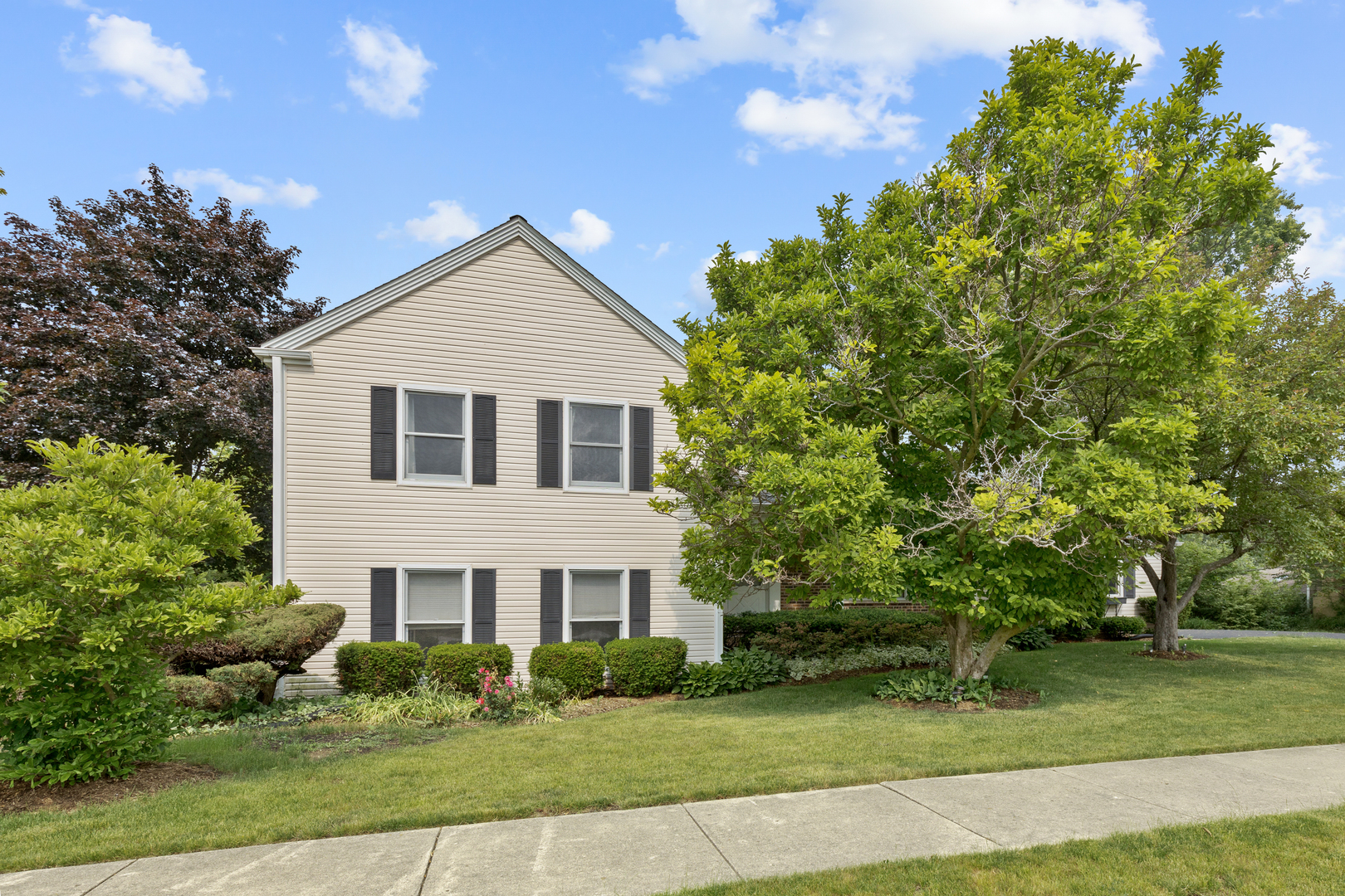 540 Springhill Drive Roselle, IL 60172 - Photo 2 of 26