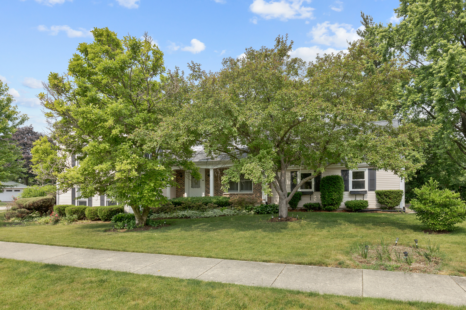 540 Springhill Drive Roselle, IL 60172 - Photo 26 of 26