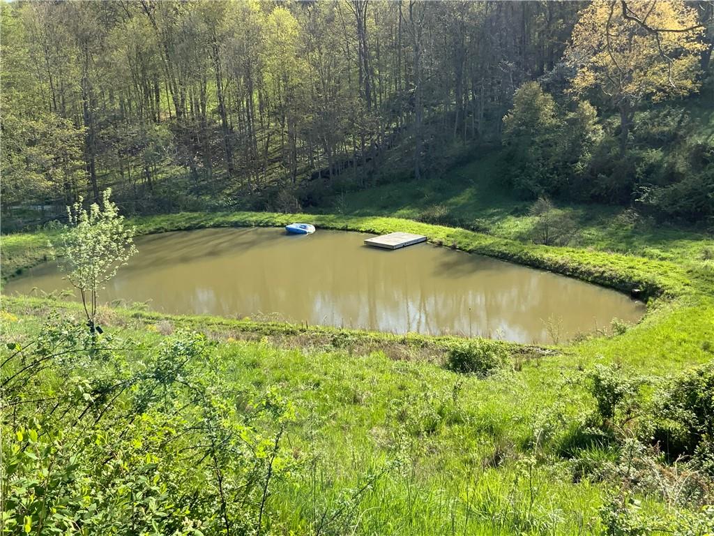 102 Memorial Road West Alexander, PA 15376 - Photo 19 of 19 a view of a lake with a yard